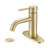 Single Hole Bathroom Faucet with Drain Assembly-94264470-116788131