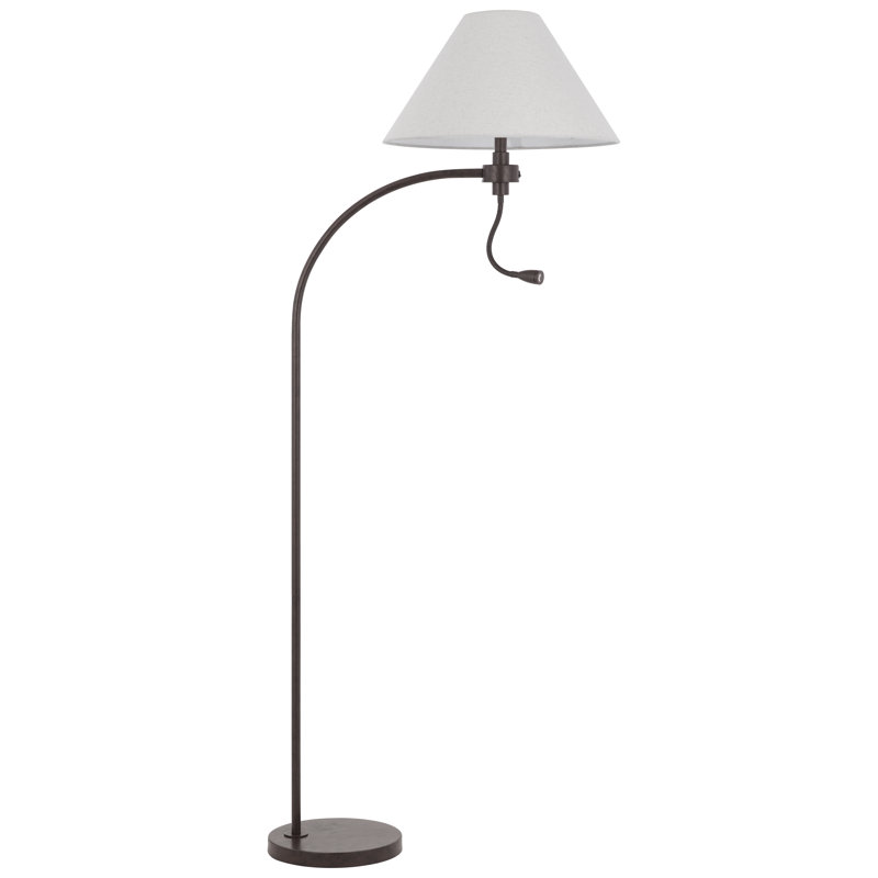 Lyeland 67.5'' Arched Floor Lamp, Bronze