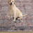 Griesemer Southwestern Geometric Machine Washable Area Rug Red/Ivory /Blue-1688186624