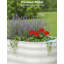 Jardin extérieur surélevé galvanisé-1776706403-1776706416-1776706428