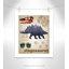 Dinosaurs-02' Wall Decal-47482867-47836493