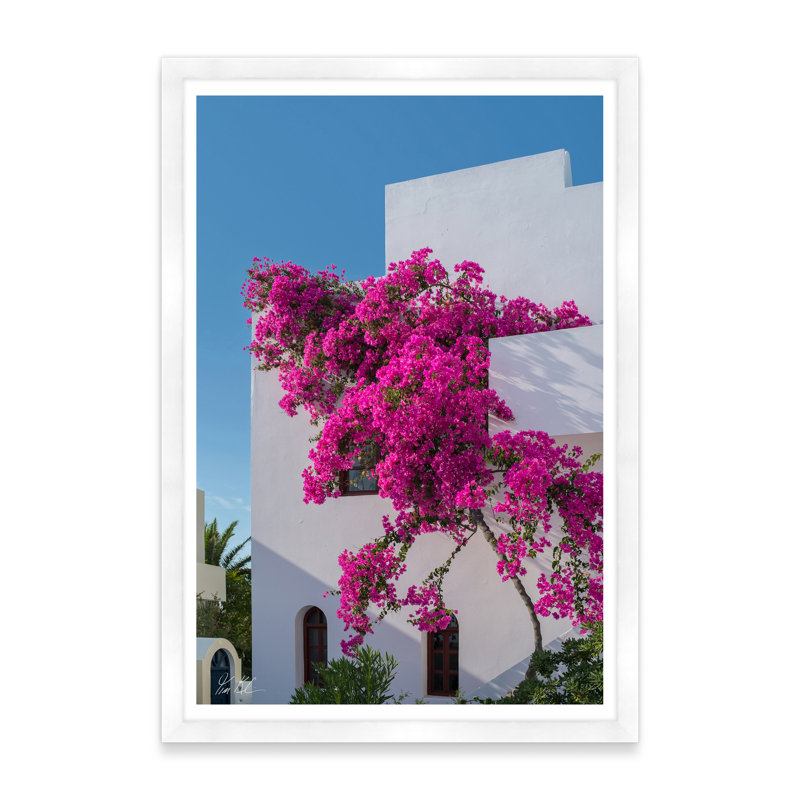 Bougainvillée grimpante I, H 42 po x l 29 po x P 1,5 po, Cadre blanc