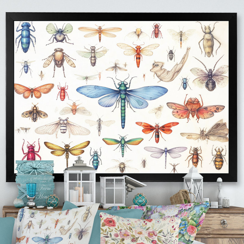 «Tiny Insect Wonders I», reproduction sur toile, H 16 po x l 32 po x P 1 po, Cadre simple noir