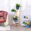 Trond Solid Wood Plant Stand 3 Tier