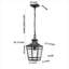 Duke Outdoor Pendant Light with Clear Glass & Metal Frame
