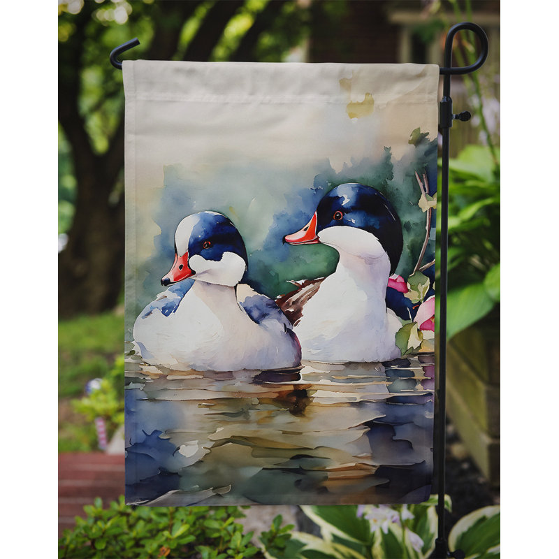 Drapeau Bufflehead Garden_DAC3192