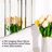 Sunburst 45.5" Irregular Accent Mirror