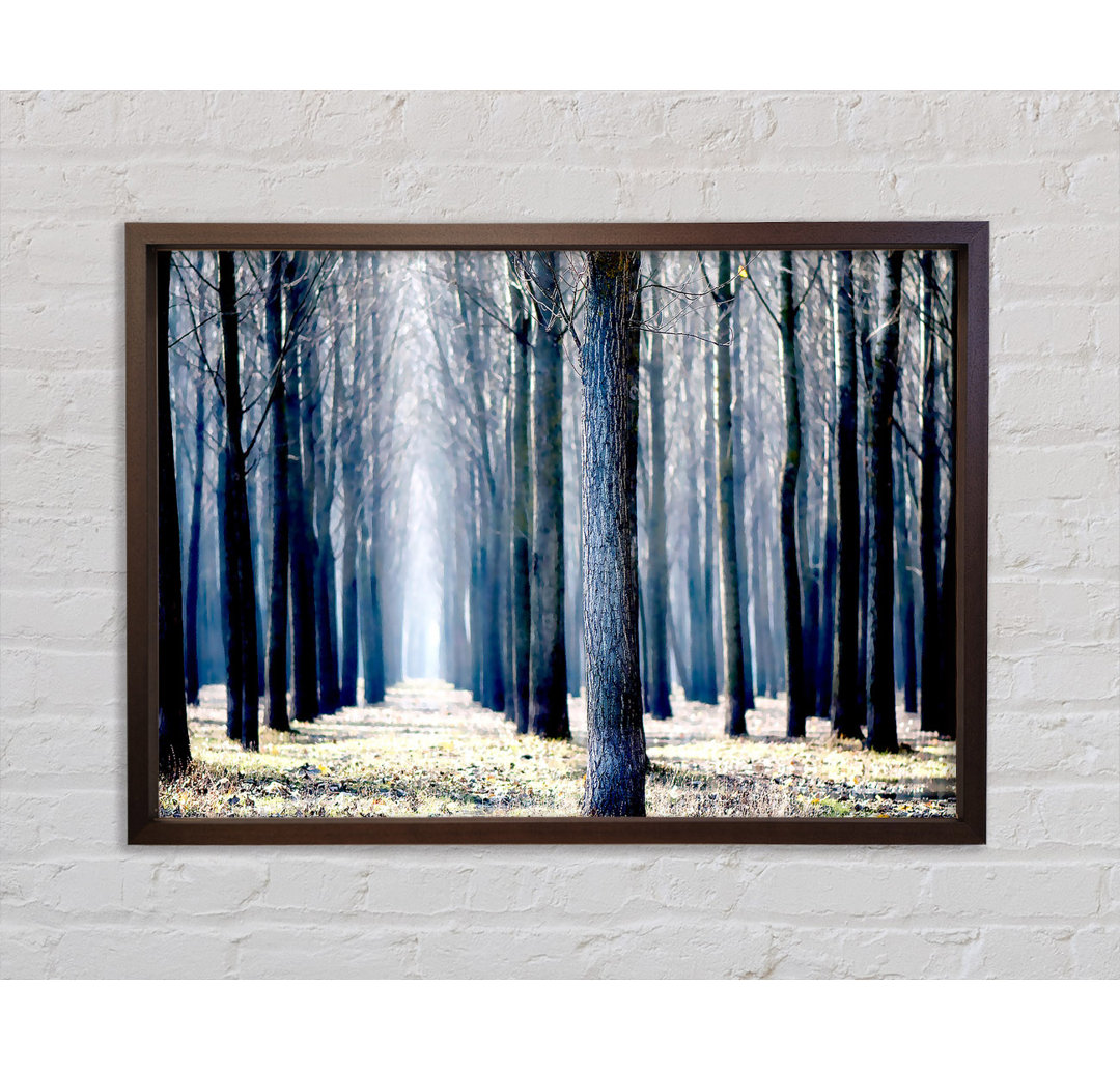 Trees Line-Up In Winter - Single Picture Frame Kunstdrucke auf Leinwand