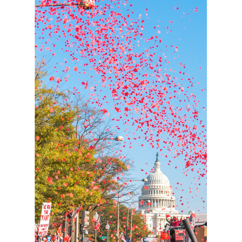 Nats Win! par Angela Pan - photographie, H 31,25 po x l 25,25 po, Papier avec cadre noir