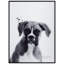 Boxer - cadre photo, impression sur verre
