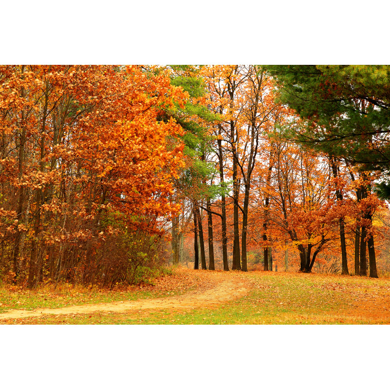 Park On Cloudy Day - Wrapped Canvas Print, 51cm H x 76cm W