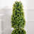 Artificial Two Ball One Tower Boxwood Topiary