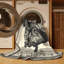 Tapis oriental gris et noir lavable à la machine Buckland-317684177