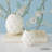 Artichaut Vase-White-101055572