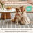 Modern Plaid Area Rugs in Beige/Gray, Indoor Large Living Room Rugs, Soft Washable Non-Slip Rugs, Oeko-Tex Certified-1484686845-1484686832