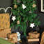 Artificial Fir Christmas Tree - 120cm