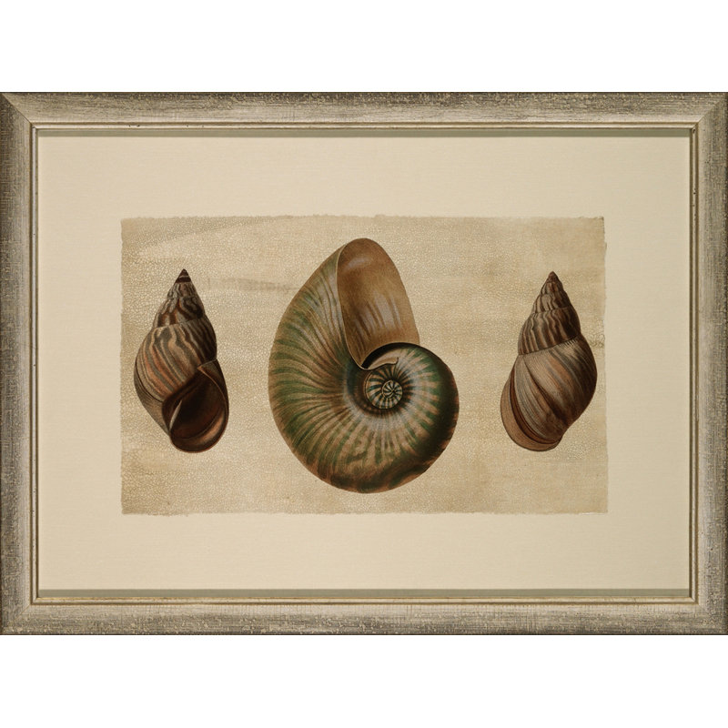 Craquelé triple coquille 1 - Peinture sur papier encadrée