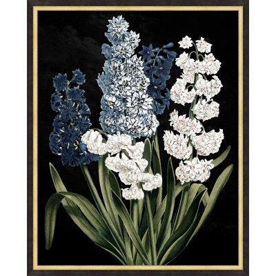 Poetic Botanicals 3 Print by Lillian August