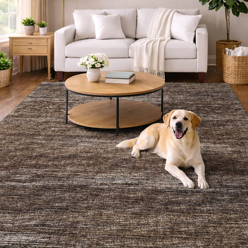 Tapis à poils longs lavable à la machine de qualité supérieure Dream, Brun, 9 pi x 12 pi