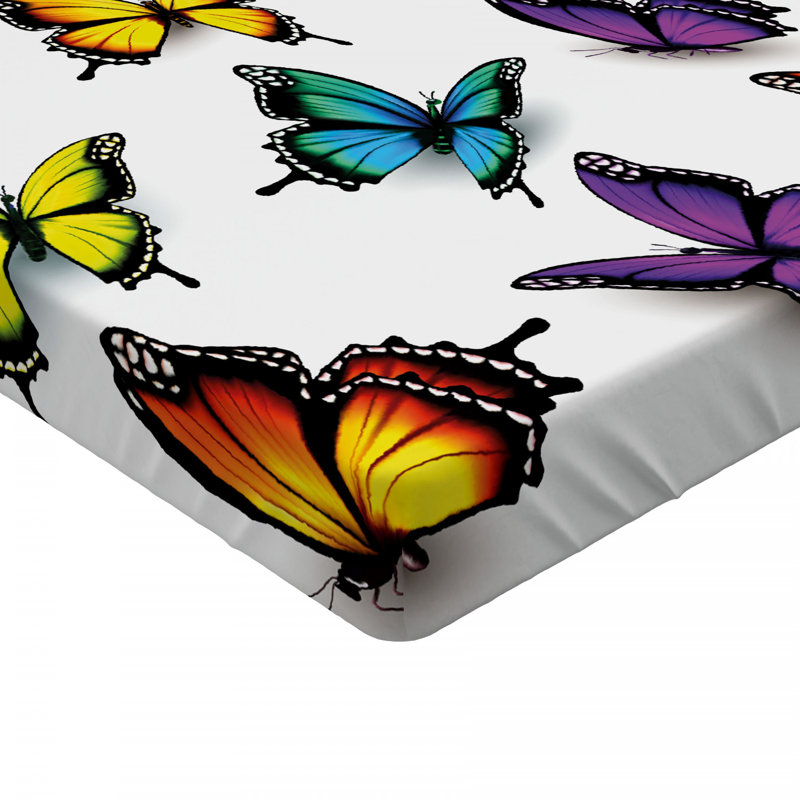 Drap-housse papillon, Drap-housse de taille double