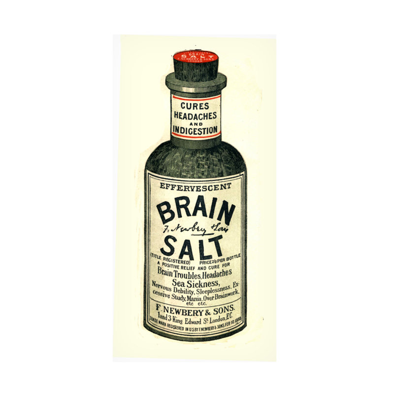 «English School Brain Salt», art des années 1890 sur toile, H 19 po x l 10 po