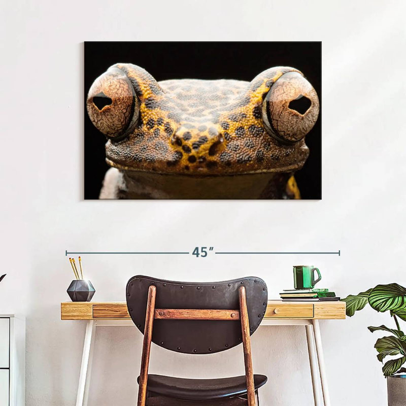 Brampt Tree Frog Eyes, 26" H x 39" W