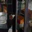 Vitrine Accord