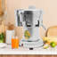  Extracteur de jus en acier inoxydable 370W 370W 