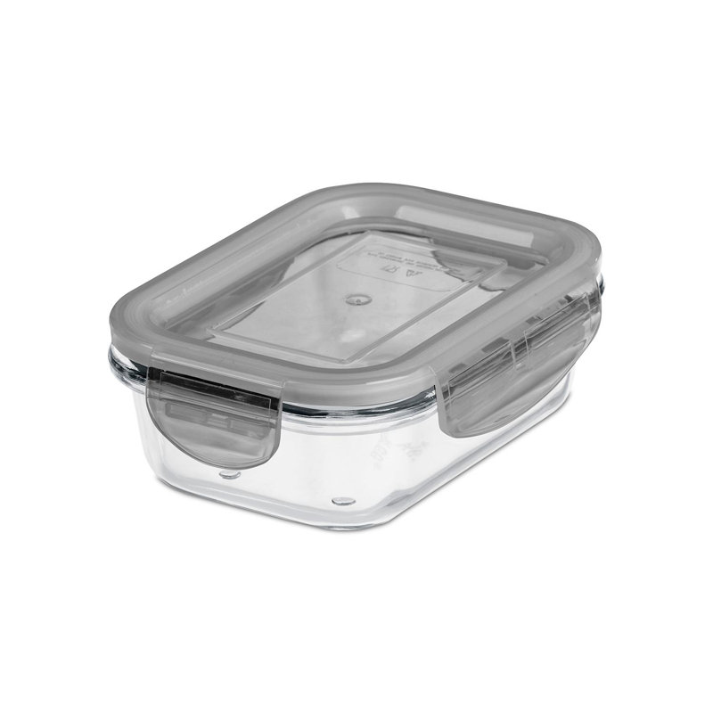 SmartStore Multipurpose BPA Free Glass Food Container with Airtight Lid, 0.25 L