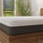 Omne Fria 12 Inch Soft Mattress With Cooling Cover-19407807