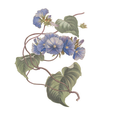 «Monument Gravure Tile Flowers I» par Wild Apple Portfolio - impression sur toile tendue