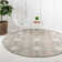 Mosely Oriental Indoor Rug