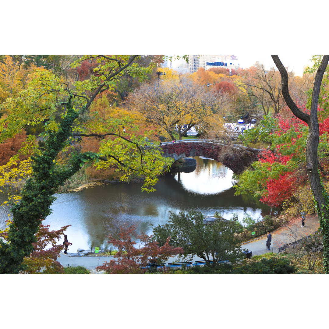 Winter In Central Park von Pawel.gaul - Drucken