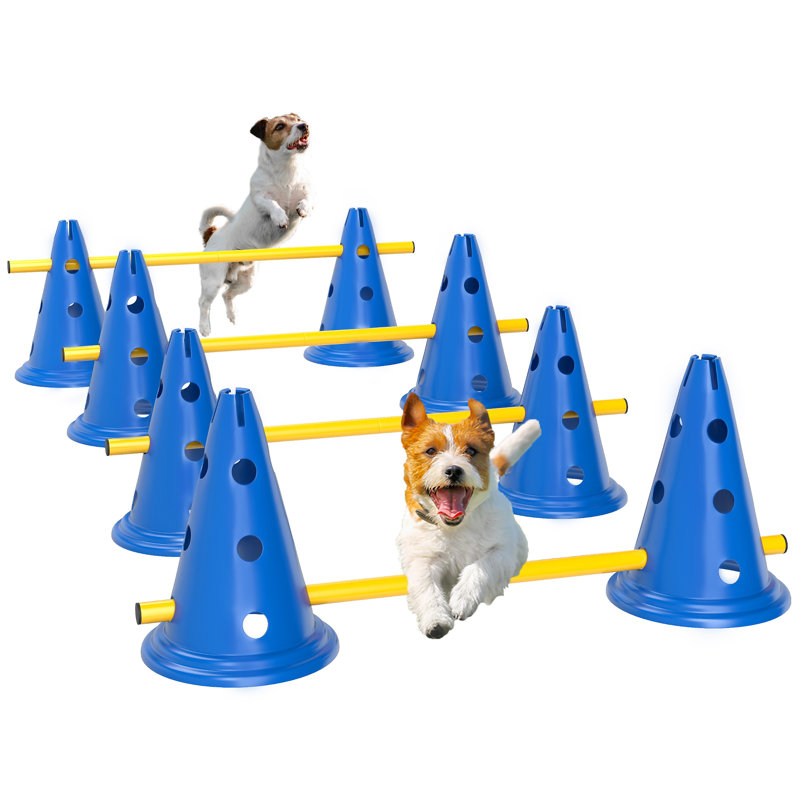 30cm H Plastic Dog Agility, Blue