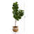54'' Faux Fiddle Leaf Fig Tree in Basket