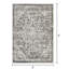 Ragheb Oriental Indoor Rug-284977327