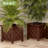  Lattice Planter Box 2-Pack, Brown-780554353