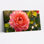 Rose, art floral sur toile tendue, ensemble de 1
