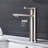 Single Handle Stainless Steel Bathroom Sink Faucet