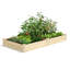 Lit de jardin surélevé en bois 4 pi x 8 pi Katsuyoshi-1014461002-1014461006