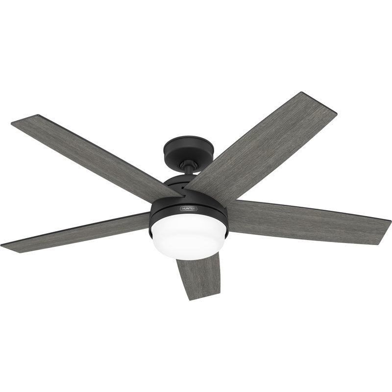 Hunter 52 inch Damp Rated Ceiling Fan with LED Light Kit and Handheld Remote, Matte Black, Matte Black/Dark Gray Oak