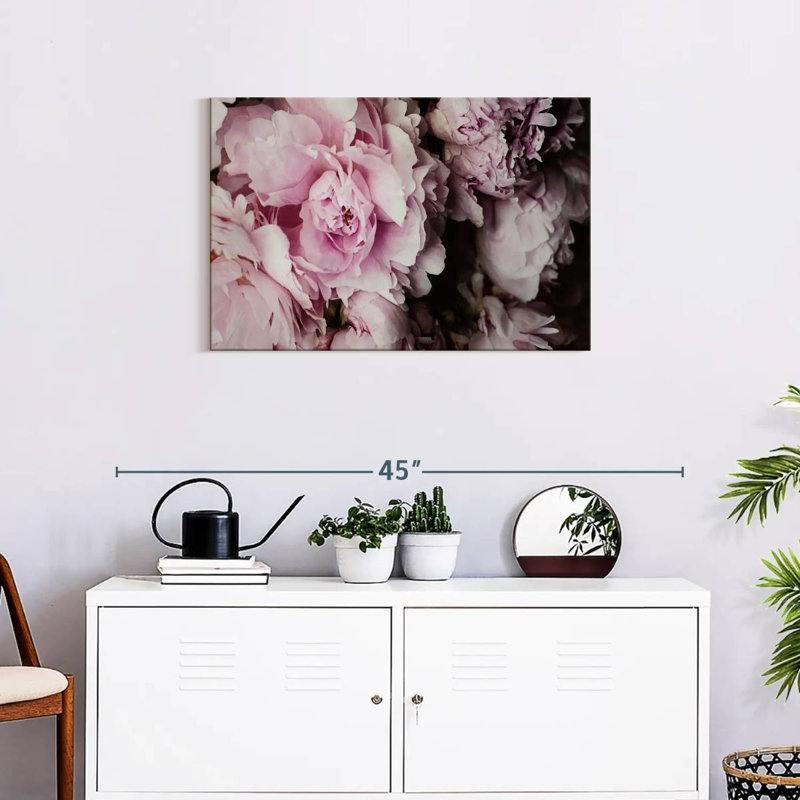 Pivoines Harnek Galore II, H 20 po x l 30 po