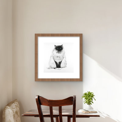 Blue Eyes Fluffy Siamese Cat - Minimalist Pets Framed Print