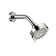 Ignite Spot 2.5 GPM Five-Function 3 3/4 in. Diameter Spray Head Wallmount