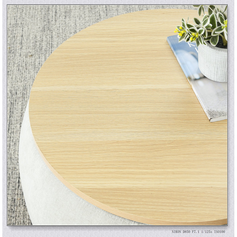 Repose-pieds rond avec rangement, fonction 2 en 1, table de bout et repose-pieds, avec petit siège, vert (25 po x 25 po x 14,7 po)