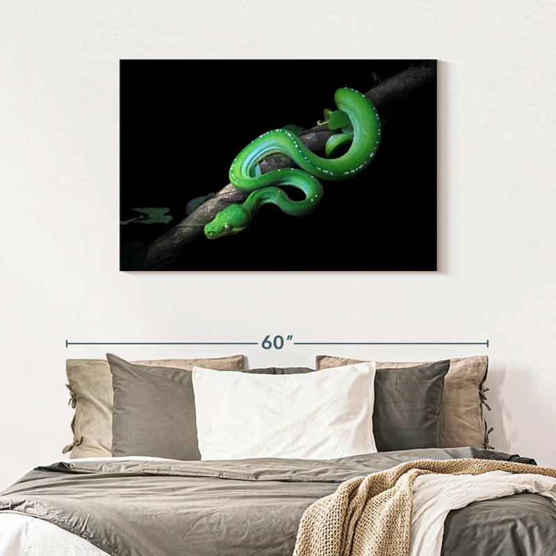 Brampt Green Python Slithering On A Branch, 30" H x 45" W