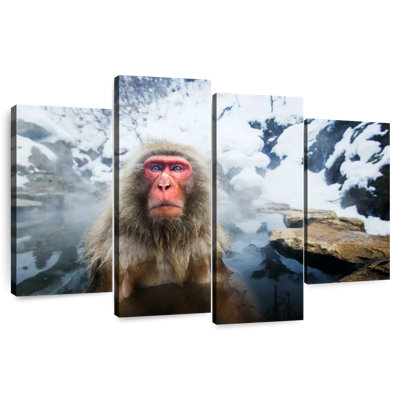 Singe des neiges japonais Brampt