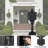 Email Address-111549533