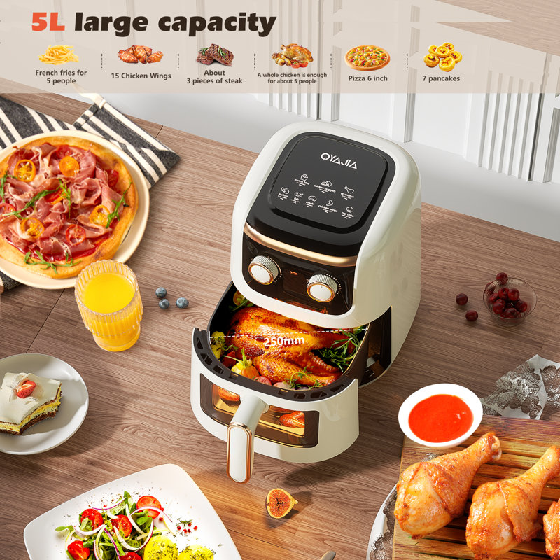 Ivy Bronx 5L Air Fryer