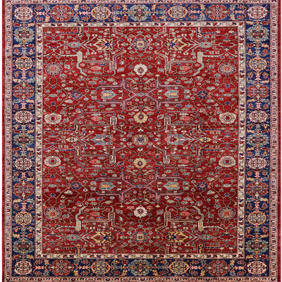 Oriental Indoor Rug